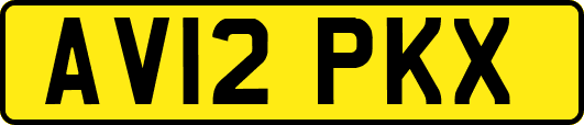 AV12PKX