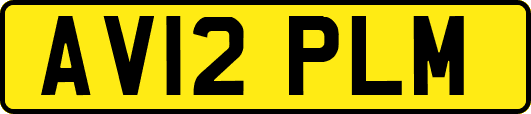 AV12PLM