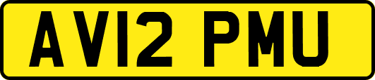 AV12PMU