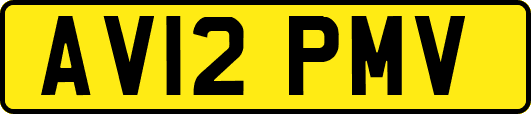 AV12PMV