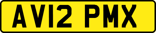 AV12PMX