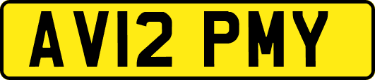 AV12PMY