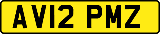 AV12PMZ