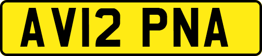 AV12PNA