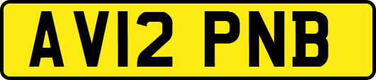 AV12PNB