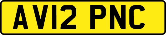 AV12PNC