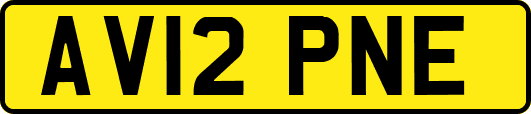 AV12PNE
