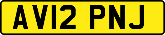 AV12PNJ