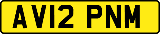 AV12PNM