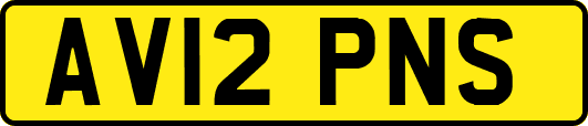AV12PNS