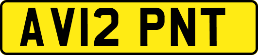 AV12PNT