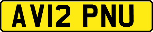 AV12PNU