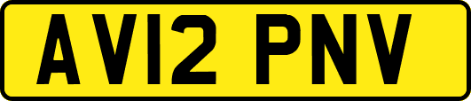 AV12PNV