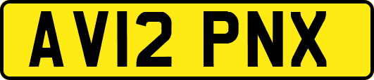 AV12PNX