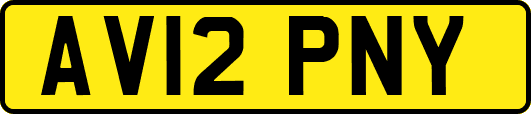 AV12PNY