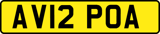 AV12POA