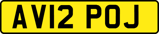 AV12POJ