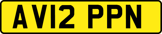 AV12PPN