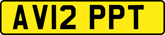 AV12PPT