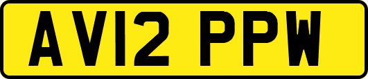 AV12PPW