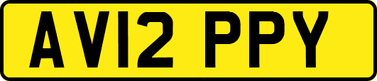AV12PPY