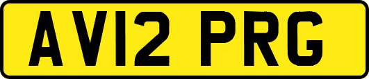 AV12PRG