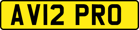 AV12PRO