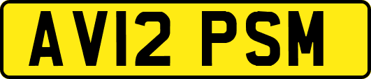 AV12PSM