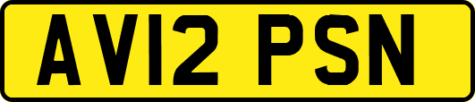 AV12PSN