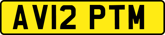 AV12PTM