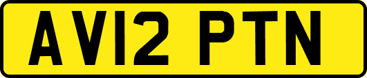 AV12PTN