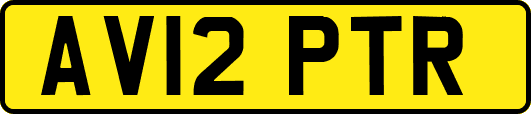 AV12PTR