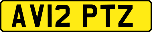 AV12PTZ