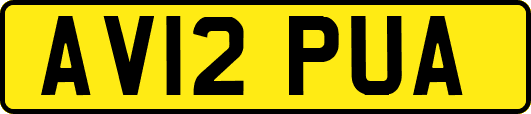 AV12PUA