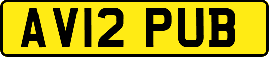 AV12PUB