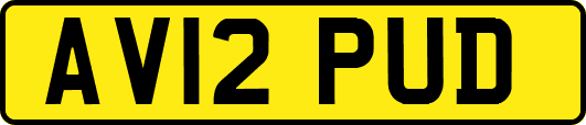 AV12PUD