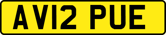 AV12PUE