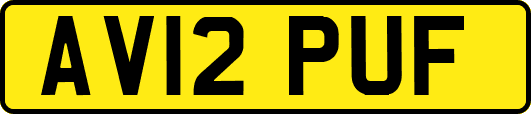 AV12PUF