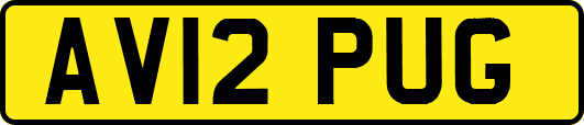 AV12PUG