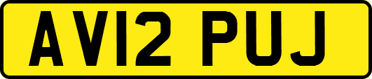 AV12PUJ