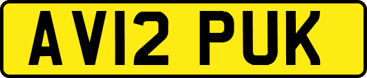 AV12PUK