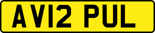 AV12PUL