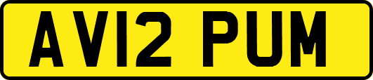 AV12PUM