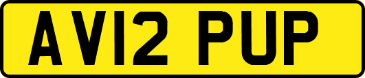 AV12PUP