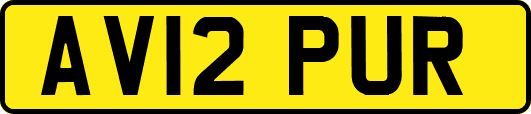AV12PUR