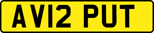 AV12PUT