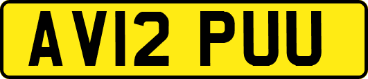 AV12PUU