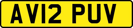 AV12PUV