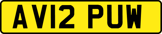 AV12PUW