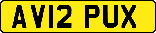 AV12PUX